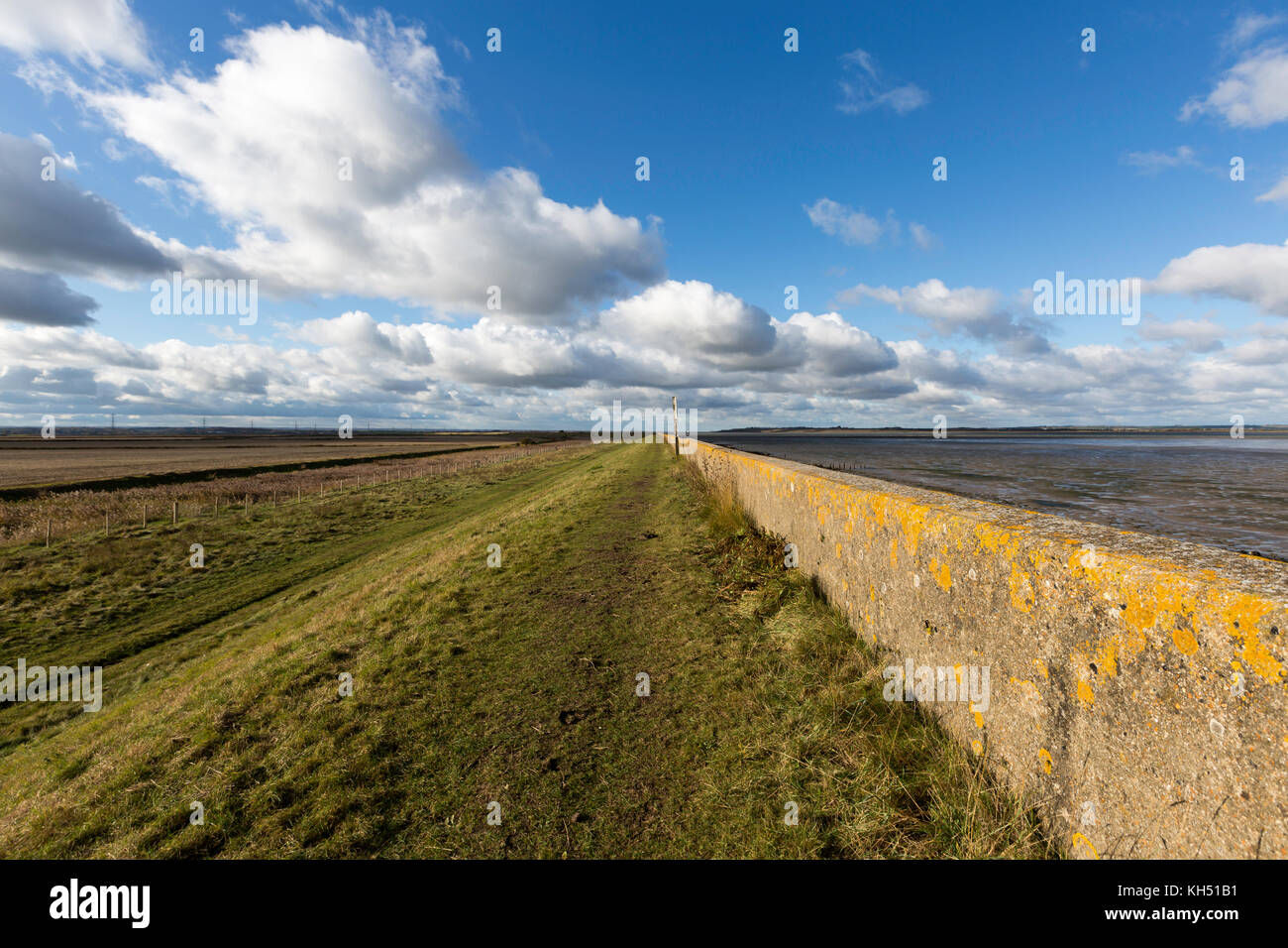 Saxon Shore Way – Küstenmauer mit weidenden Sumpfgebieten und Schilfbeeten in warmem Licht am späten Nachmittag, langen Schatten und Blick auf den großen Himmel unter verstreuten Wolken Stockfoto