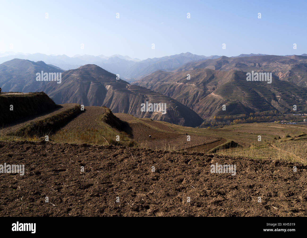Reis Plantage in den Bergen, Tongren County, Rebkong, China Stockfoto