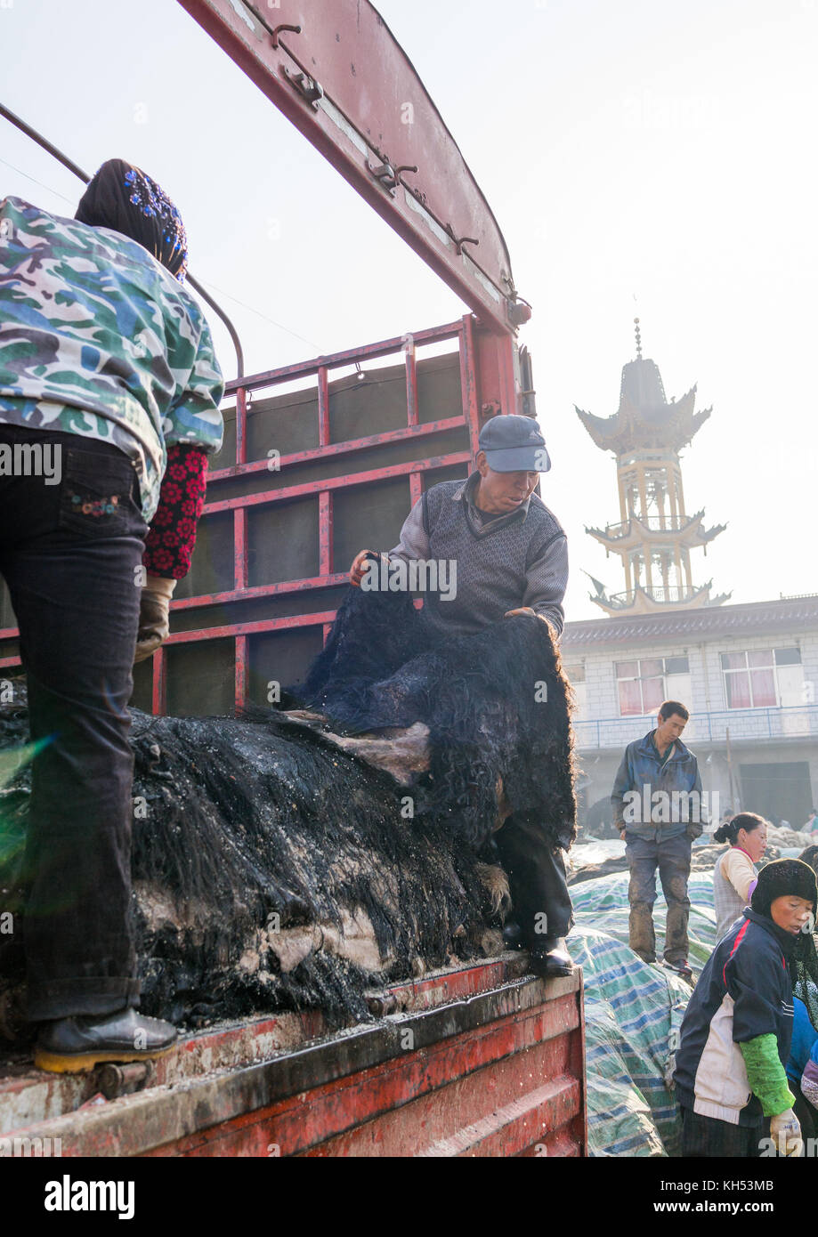 Muslimische Hui Leute yout Yak skins Ziehen von einem Lkw, Provinz Gansu, Linxia, China Stockfoto