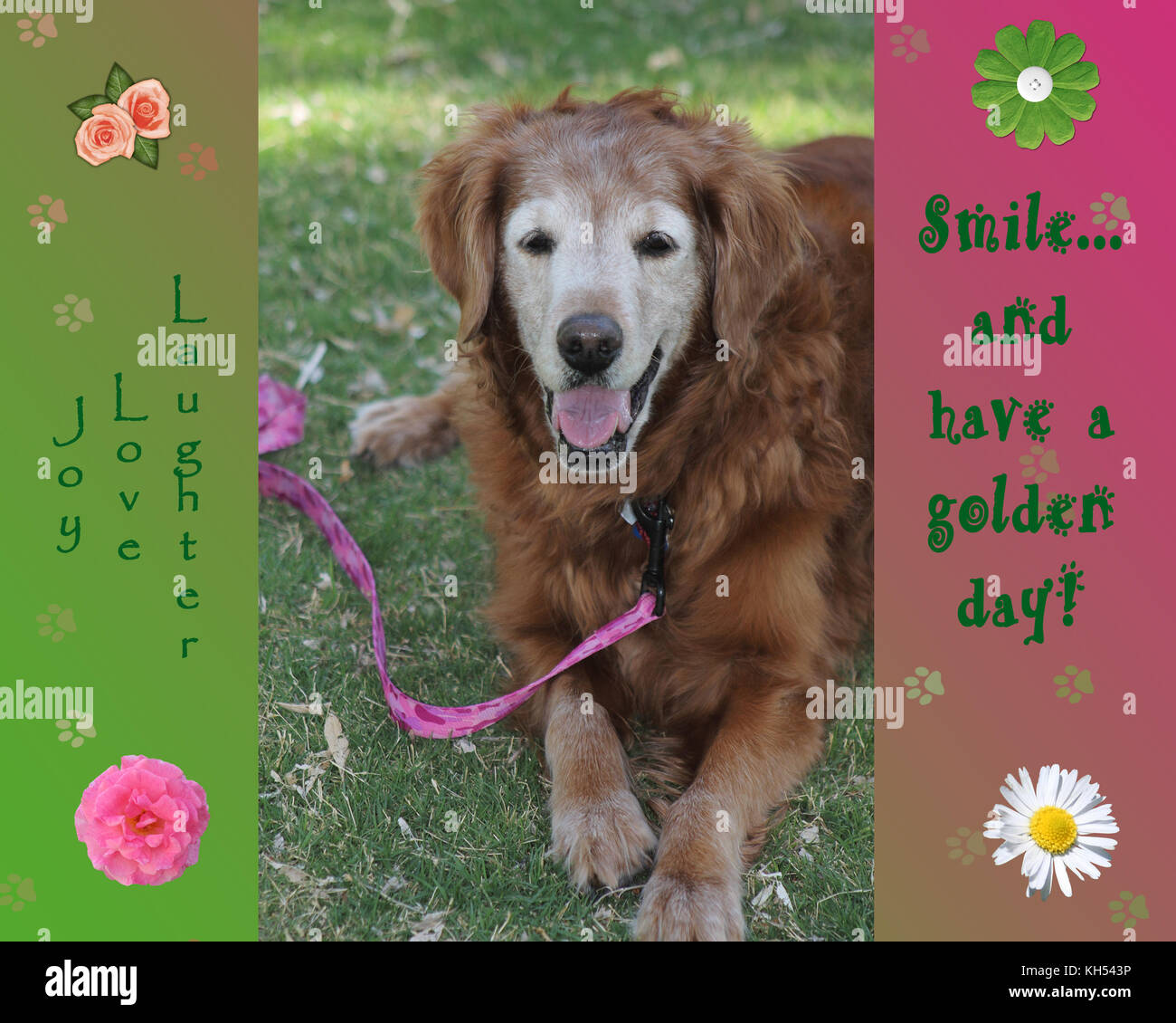 Freude und lachen -Fotos und -Bildmaterial in hoher Auflösung – Alamy