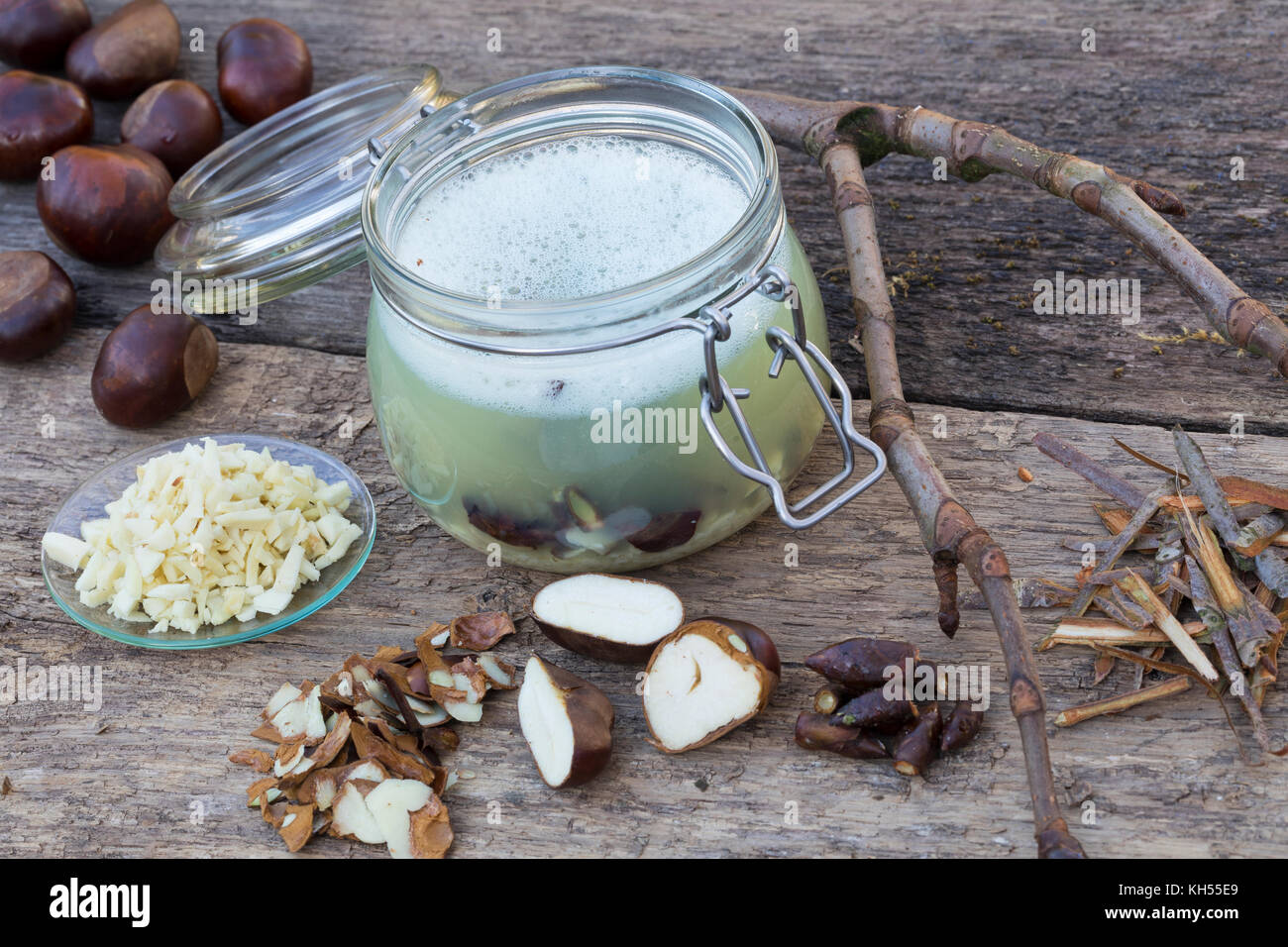 Rosskastanie-Tinktur, Rosskastanien-Tinktur, Kastanie-Tinktur, Kastanien-Tinktur, zerkleinerte Rosskastanien, Kastanien, Knospen und Rinde werden in A Stockfoto
