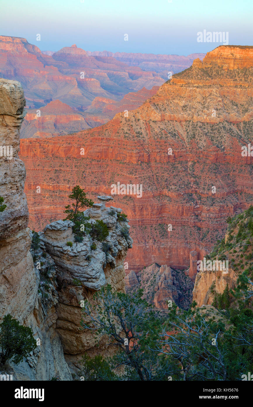 Cedar Ridge Ende nach 12.00 Uhr Licht mit der weitläufigen Tälern und Bergrücken des großen Grand Canyon im Hintergrund ausgesetzt. Stockfoto