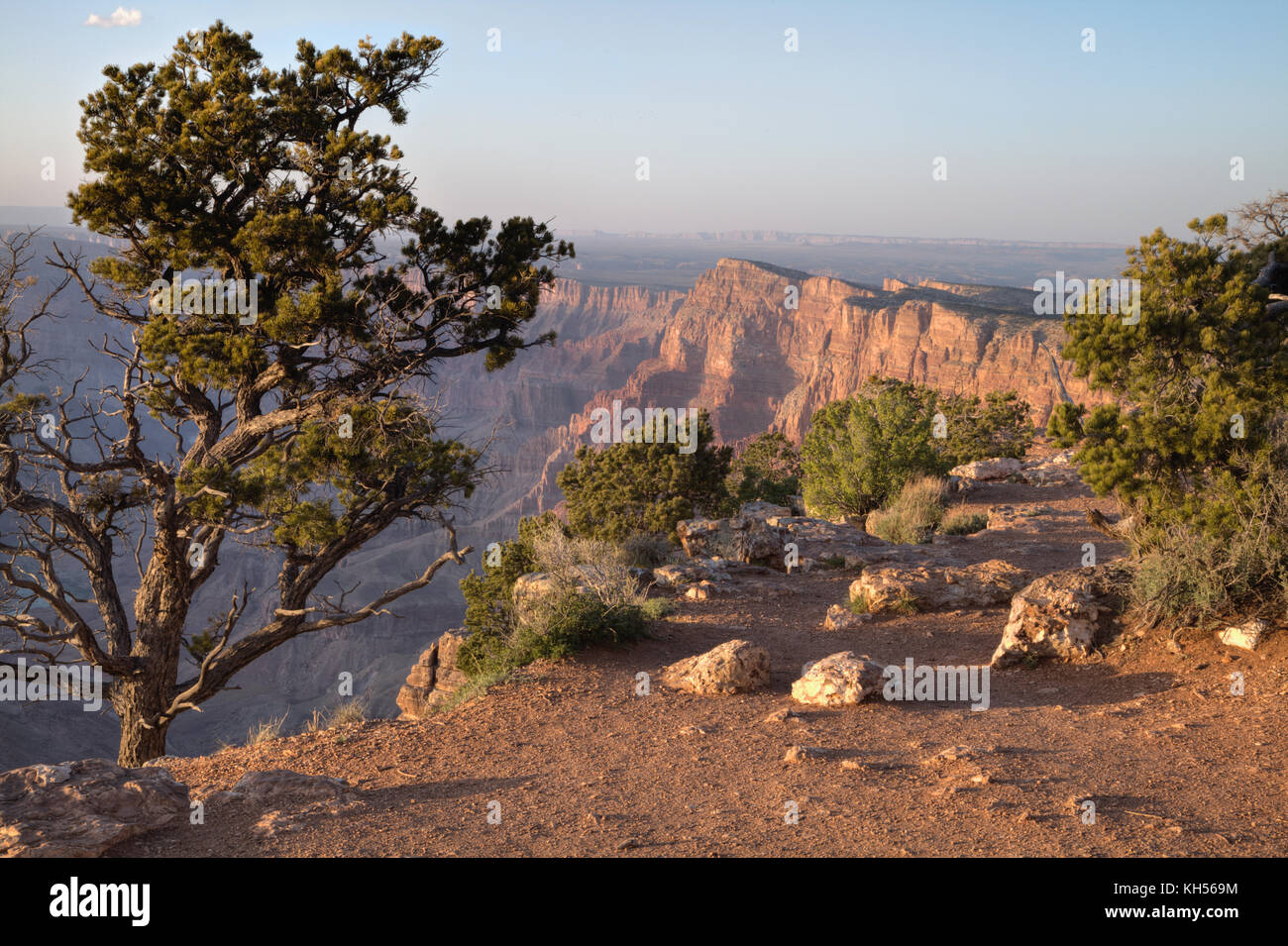 Den Grand Canyon gesehen von der Felge in der Nähe der Wüste Ansicht Besucherzentrum Stockfoto