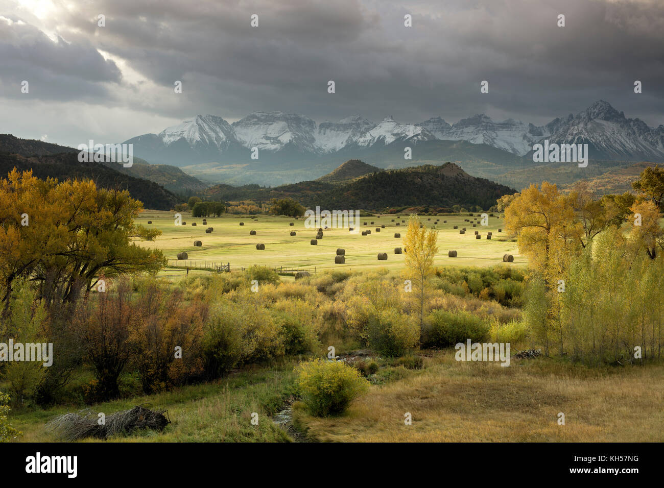Herbst in den San Juan Mountains, Dallas Divide Ridgway Colorado Stockfoto