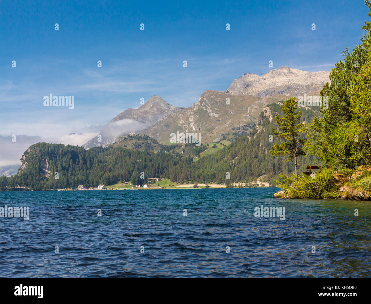 Bergsee und Wald Stockfoto