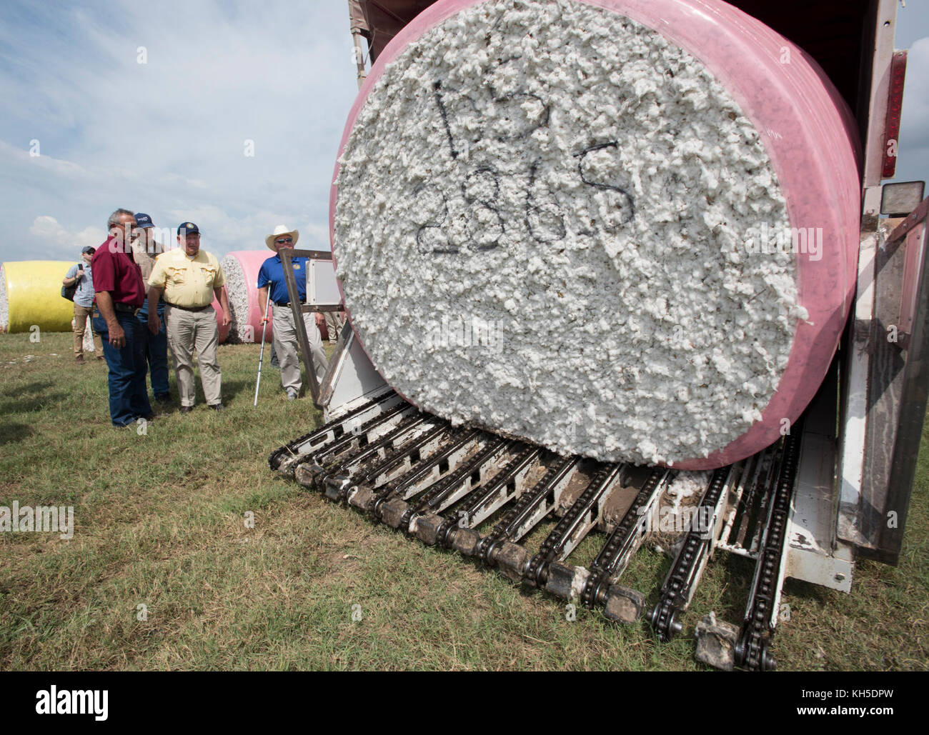 Gehen zurück mit Förderwagen Backup und Laden rund Module aus Baumwolle US-Landwirtschaftsminister Sonny Perdue Uhren als neue Mikrowelle Feuchtigkeitssensor misst die Last, wie es in den Anhänger, In der Kabine hat der Fahrer sofortige Ergebnisse des Scans und kann die Mocule zum Gin zur Verarbeitung oder zu anderen Bereichen zum Trocknen und Lagern an einem der besuchten Standorte bringen, um Schäden an der Landwirtschaft durch Hurrikan Harvey, von Houston nach El Campo, Texas, zu sehen. Am 21. September 2017. Er wurde von US-Repräsentantenhaus Landwirtschaft Ausschuss Vorsitzender K. Michael Conaway (TX Stockfoto