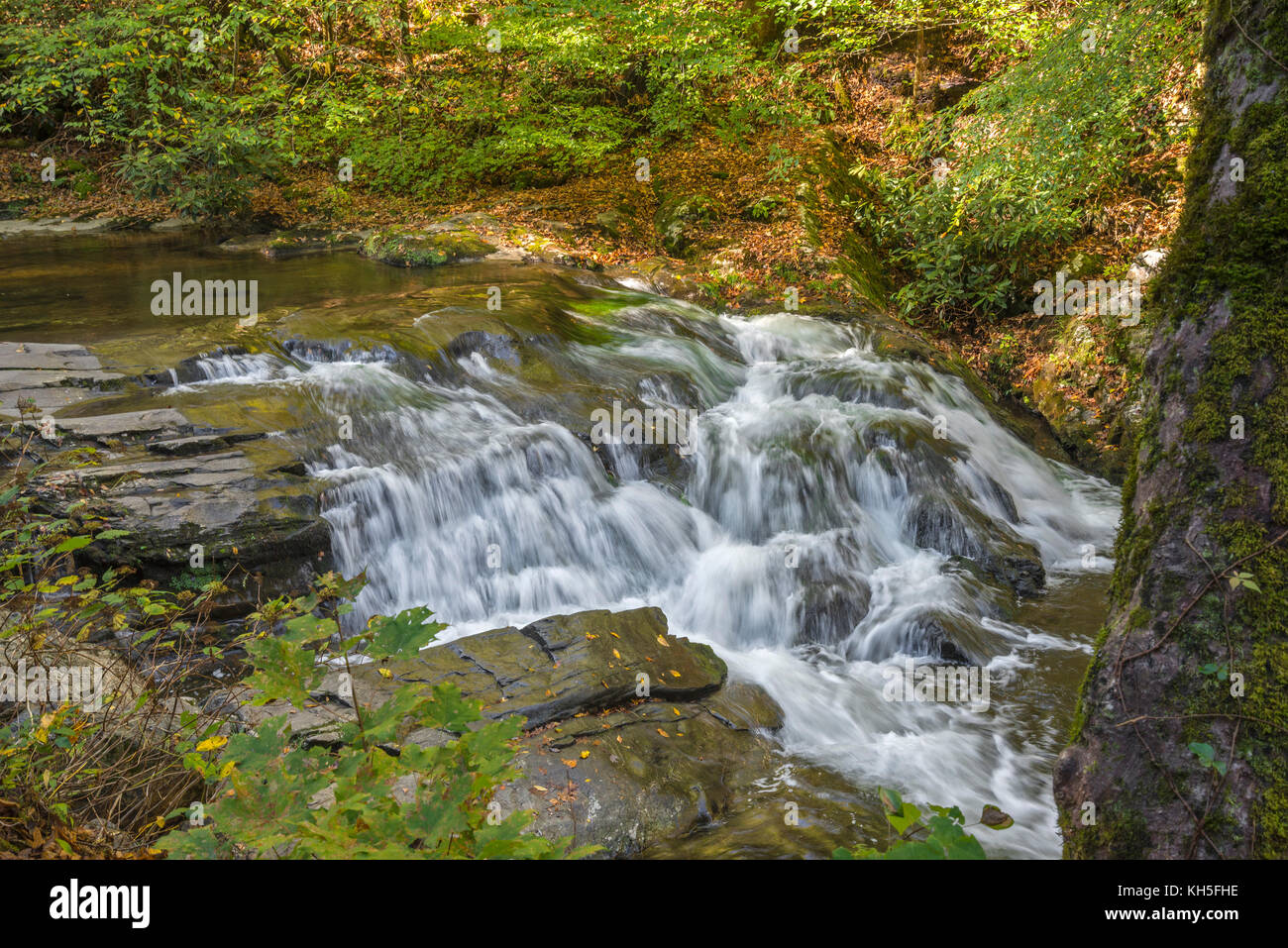 Great Smoky Mountains National Park. Stockfoto