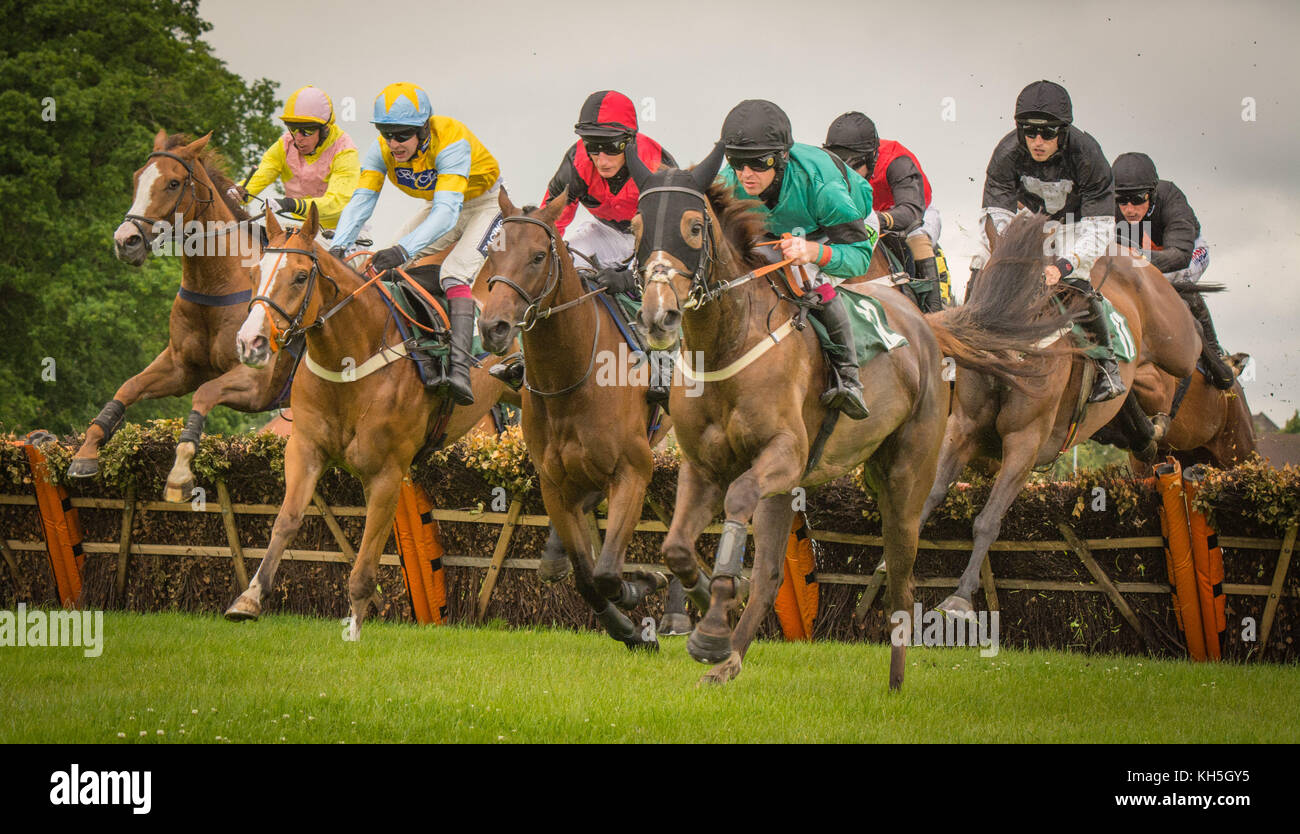 Pferderennen in Uttoxeter Rennbahn, Großbritannien Stockfoto