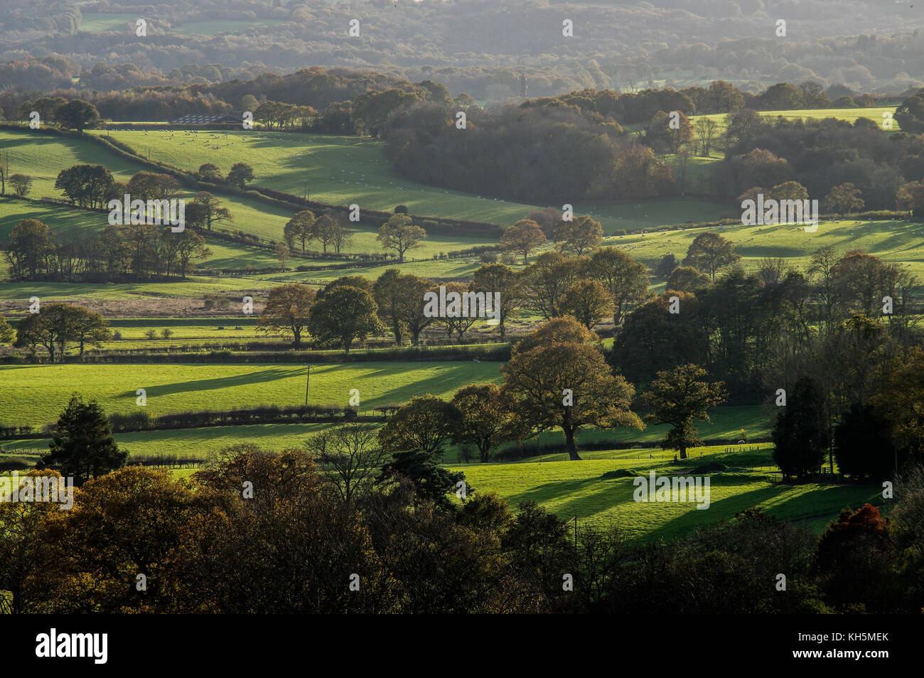 Lange herbstliche Schatten über dem Flickenteppich aus Feldern und Weiden in East Sussex Stockfoto