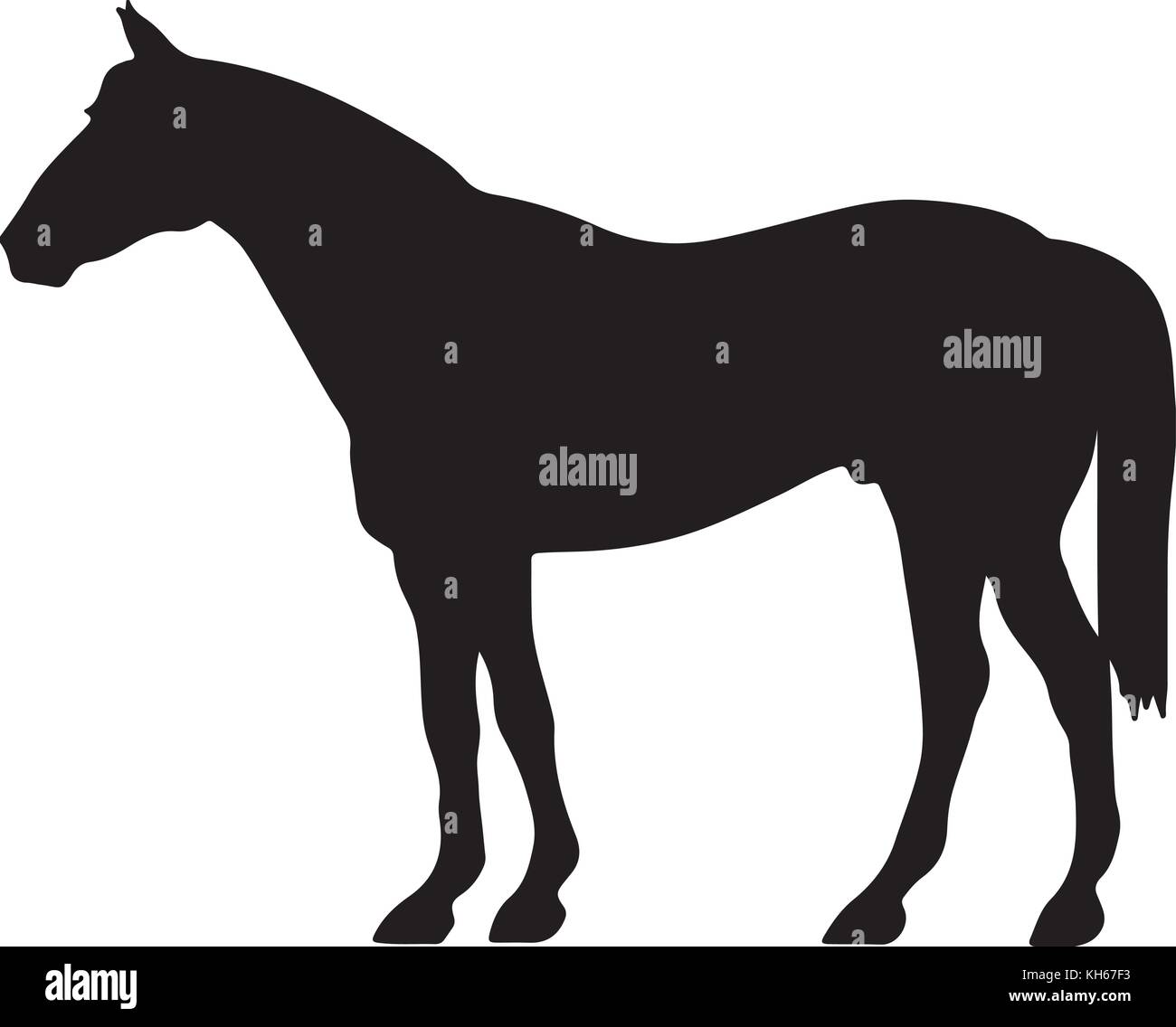 Aufzucht bis Pferd feine Vektor Silhouette und outline-Anmutigen schwarzen Hengste Stock Vektor