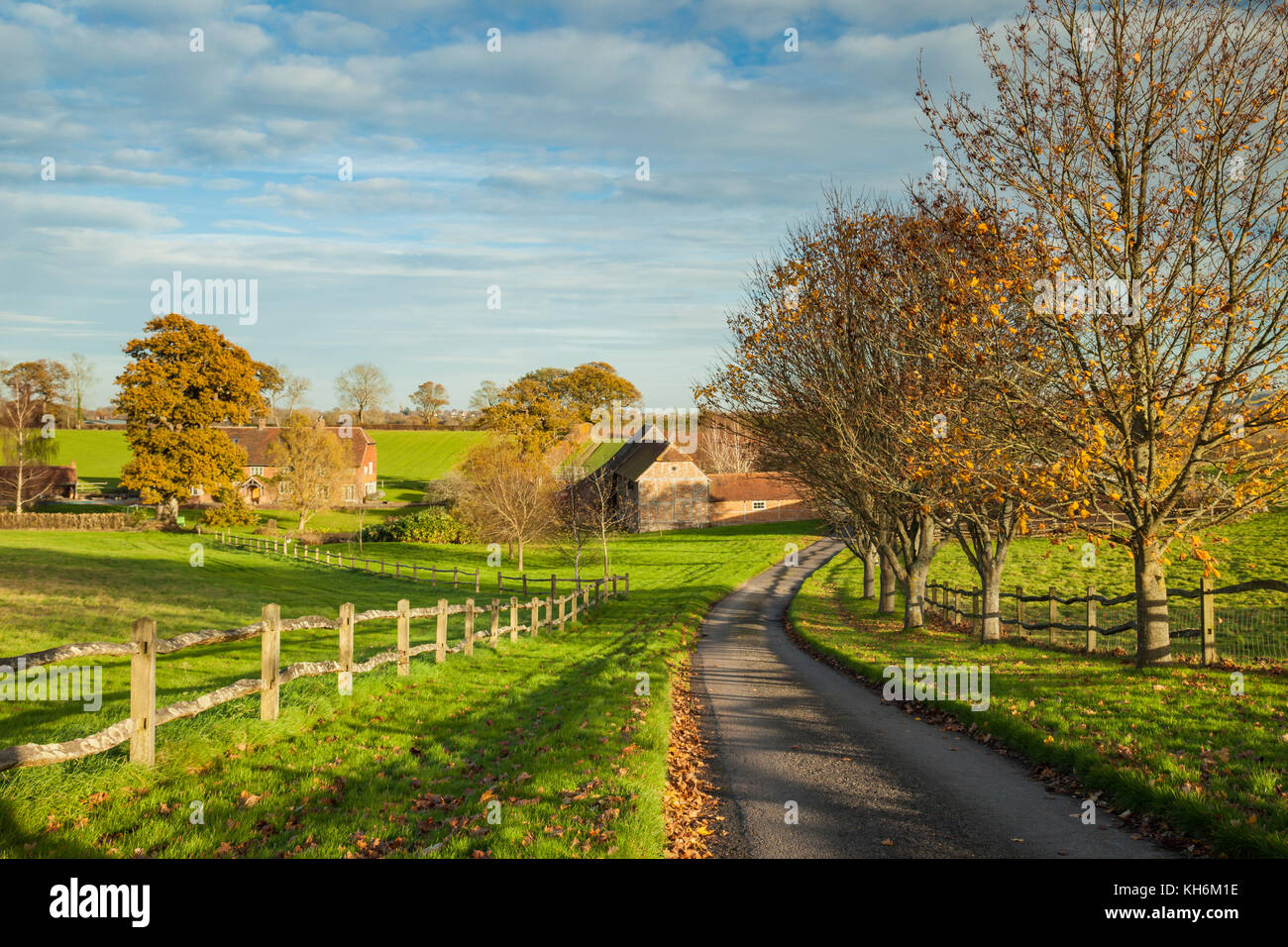 Herbstnachmittag in West Sussex, England. Stockfoto
