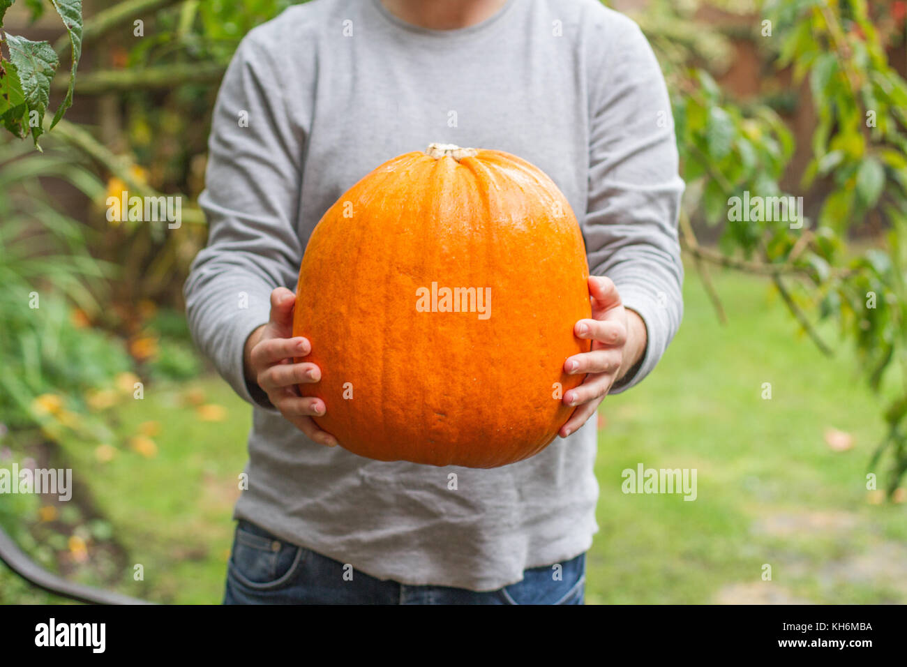 Ein junger Mann stand draußen in den Garten und mit einem großen Kürbis in seine Hände in einer mittleren Abschnitt Schuß Stockfoto