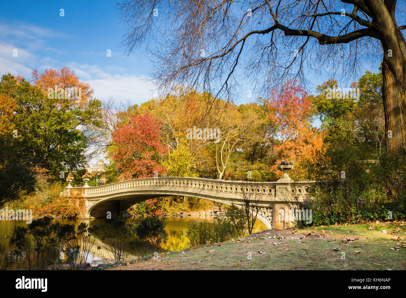 Szenische bogen Brücke im Central Park in New York City mit bunten Blätter im Herbst Stockfoto