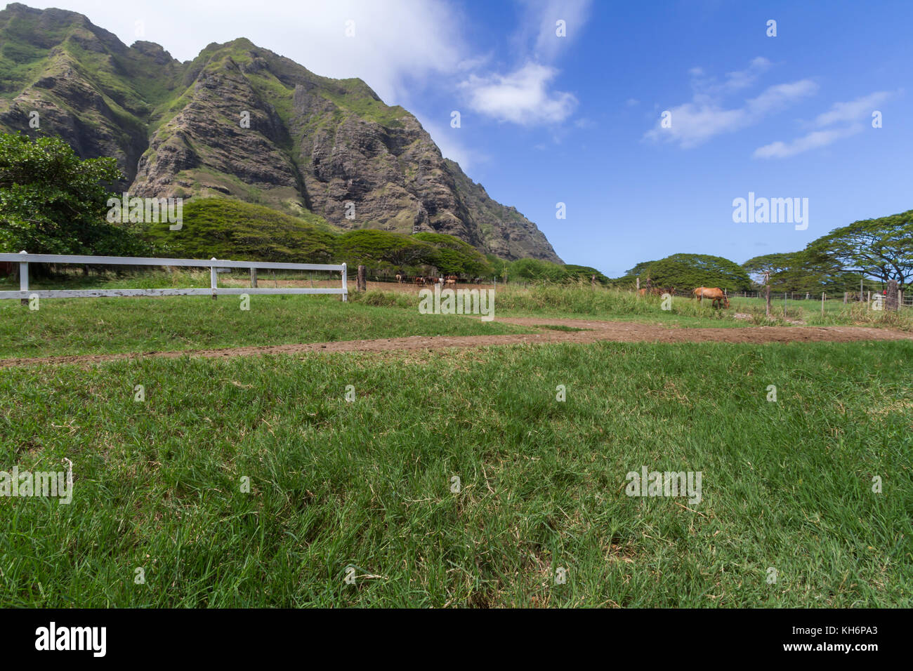 Kualoa Ranch und Berge auf der Insel von Oahu Stockfoto