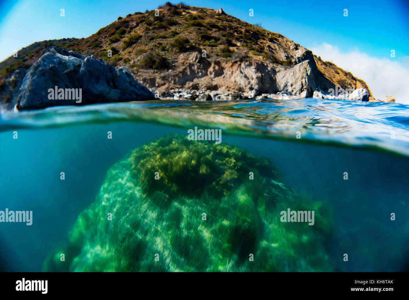 Über und unter Schüsse der Marine World und Landschaften von Catalina Island, Kalifornien, USA Stockfoto
