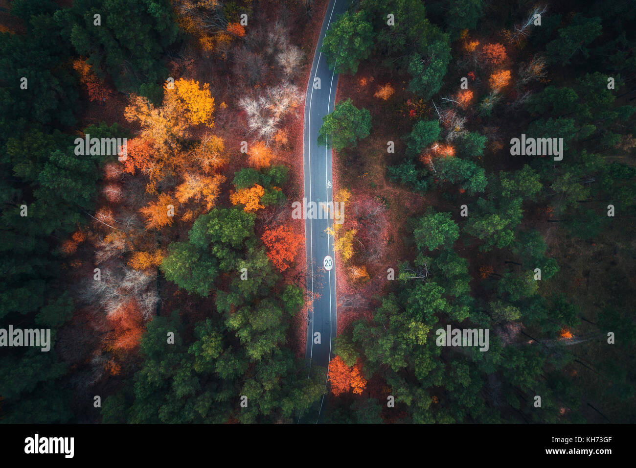 Luftaufnahme der Straße im schönen Herbst Wald. Fantastische Landschaft mit leerer Landstraße, Bäume mit grün, rot und orange Blätter in den Tag. Autobahn durch Stockfoto