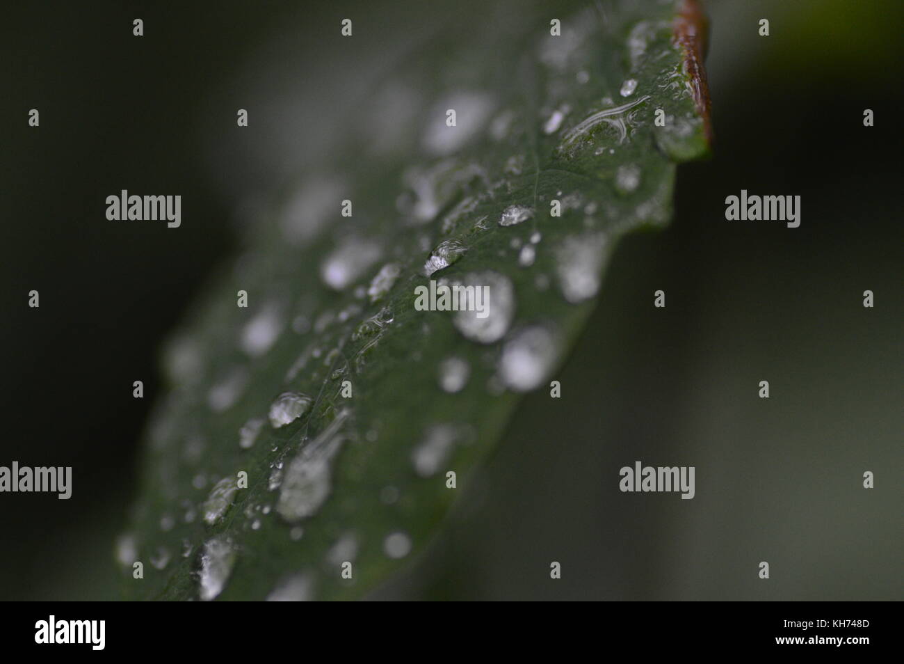 Kleine Welt Stockfoto