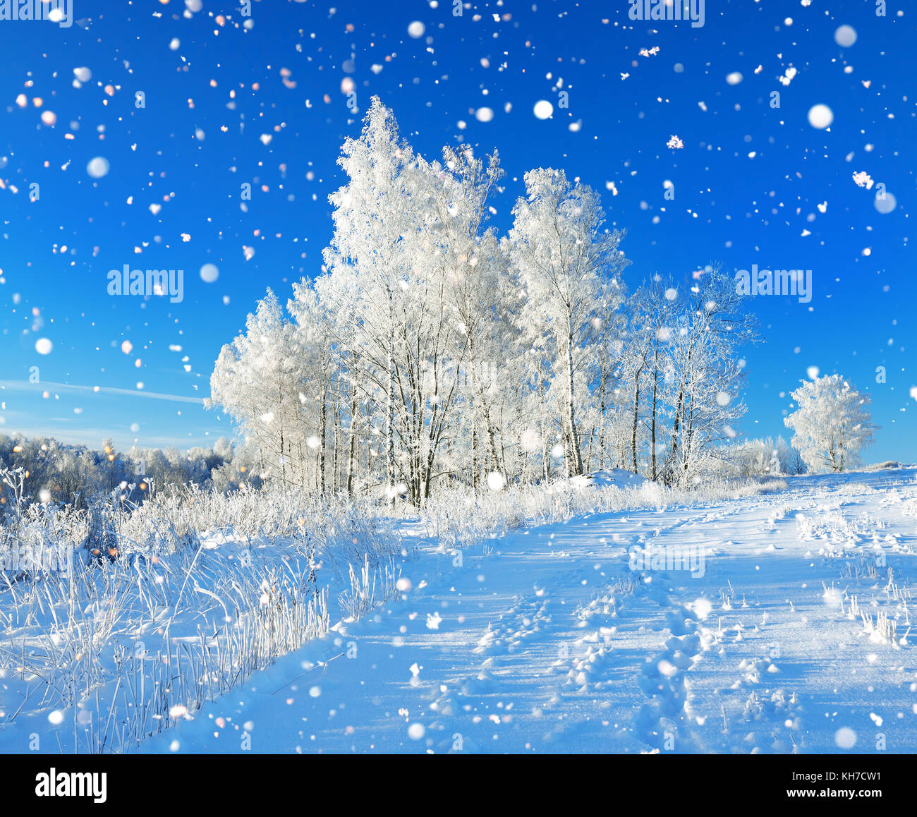 Schönen ländlichen Winterlandschaft eine mit blauem Himmel, ein Feld und Wald. winterlichen Tag Stockfoto