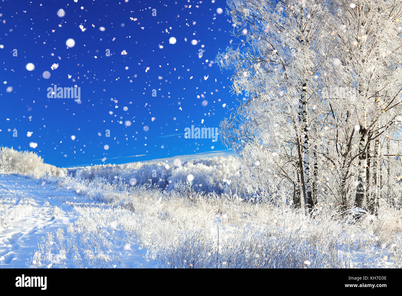 Schönen ländlichen Winterlandschaft eine mit blauem Himmel, ein Feld und Wald. winterlichen Tag Stockfoto