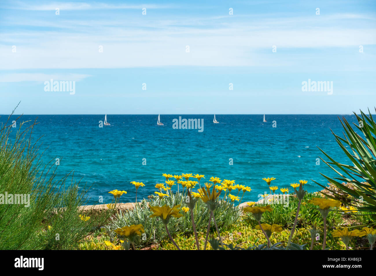 Blumen mit vier Segelboote. blaue Meer Wasser und Himmel Stockfoto