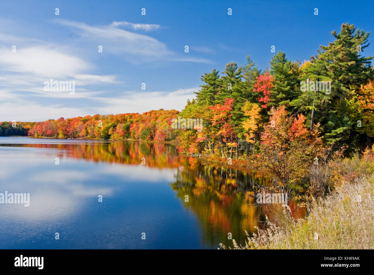 See und im Herbst Reflexionen, foot Bay, Huntsville, Ontario, Kanada Stockfoto