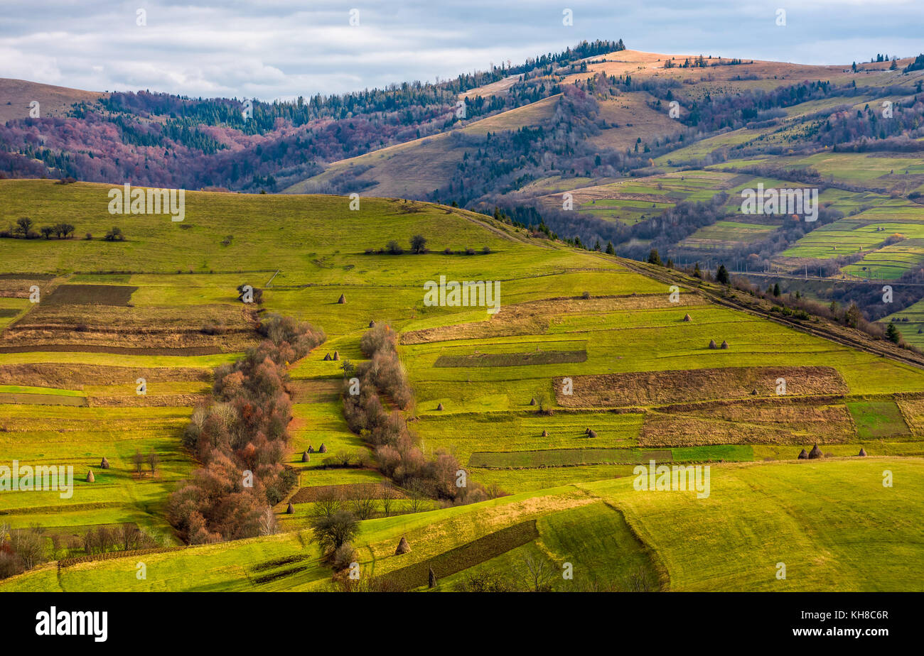 Grasbewachsene ländliche Hügel im späten Herbst sonniger Tag. schöne Landschaft im Berggebiet Stockfoto