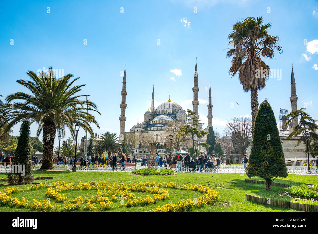 Blaue Moschee, Sultan Ahmet Camii, Blumen in Sultan Ahmed Park, Sultanahmet, europäischen Teil, Istanbul, Türkei Stockfoto