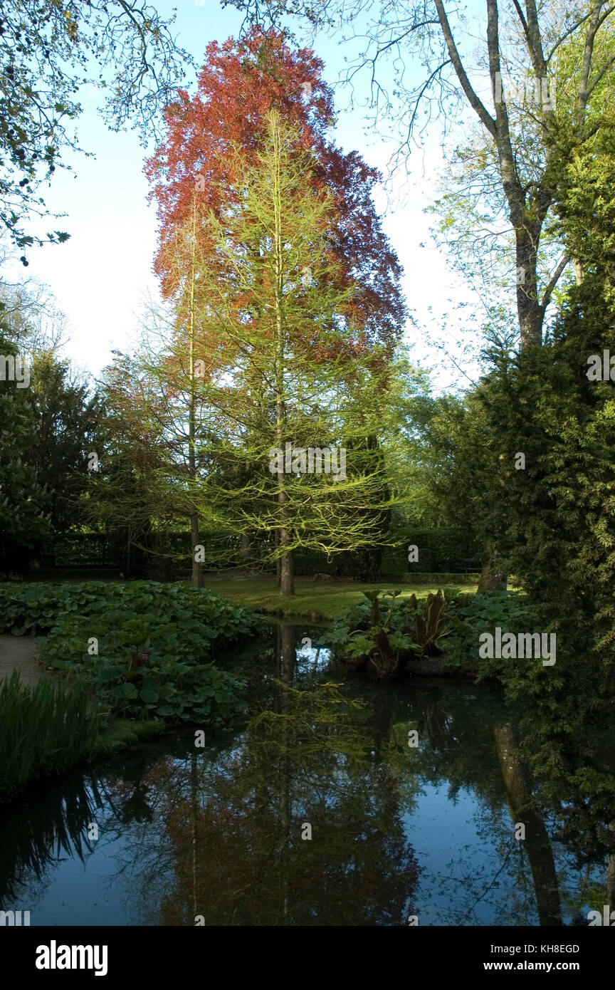 Garten Marcel Proust, 2008, Château de la Recherche, Donnay da Recherche Proust Illiers, Frankreich Stockfoto