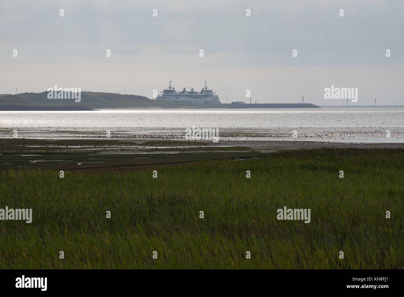 Den helder texel fähre Fotos und