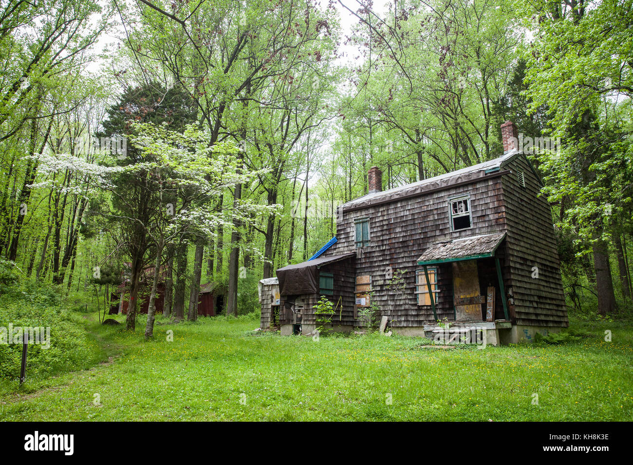 verlassenes Haus im Wald Stockfoto