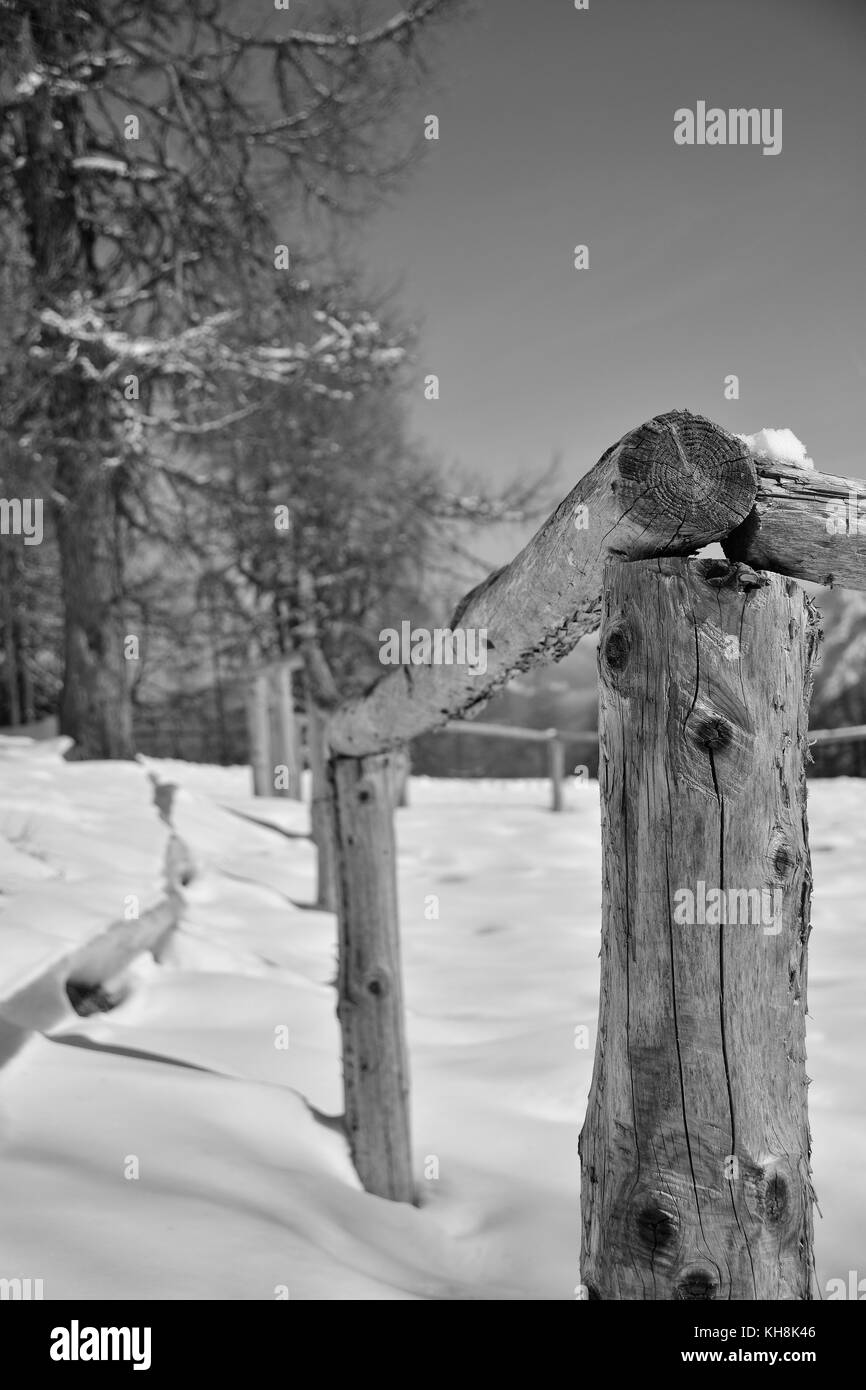 Holz- Beiträge in den Schnee auf Monte Lussari, Friaul Julisch Venetien, im Nordosten Italiens. Stockfoto