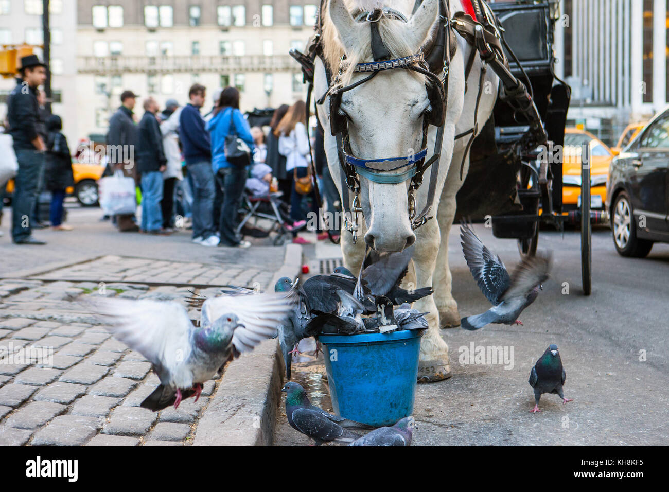 Pausenzeit Stockfoto