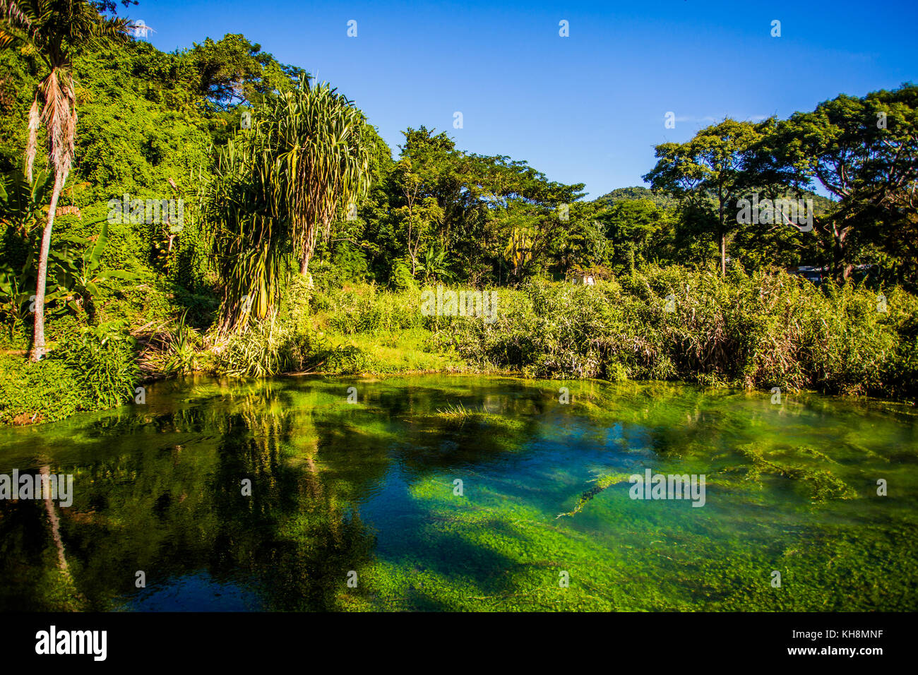 Jamaika tropischen Gewässern grünes Paradies Stockfoto