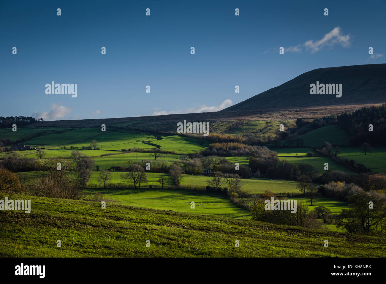 Pendle Landschaft in der Nähe des Dorfes Downham, Lancashire, UK. Stockfoto