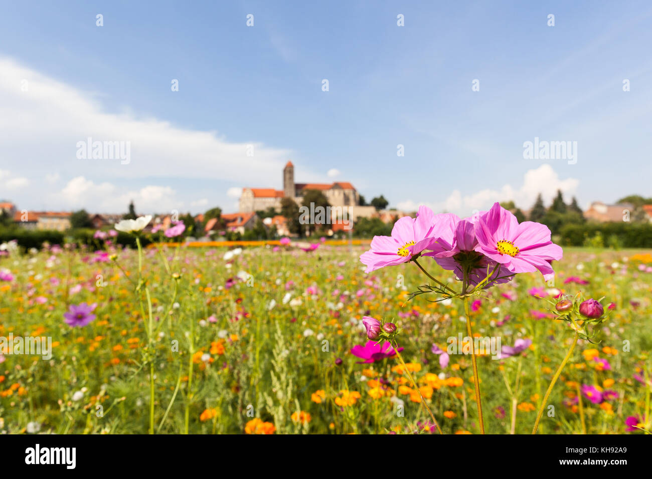 Blick zum Quedlinburger Schloss und Stiftskirche Stockfoto