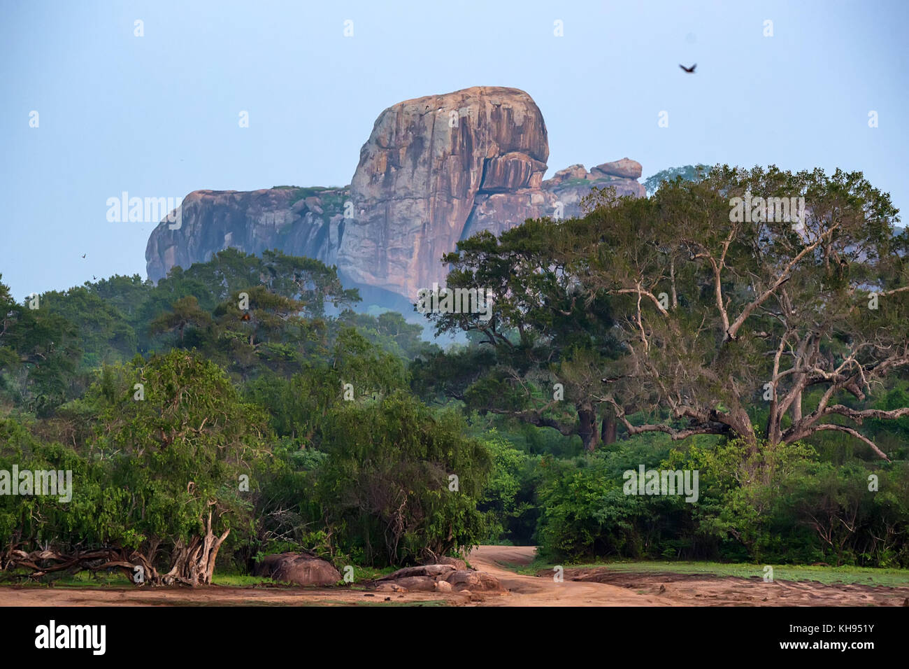 Landschaft Yala National Park, Sri Lanka Stockfoto