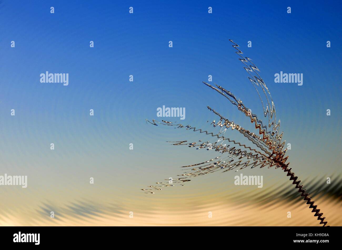 Morgen Perle (Tau) Stockfoto