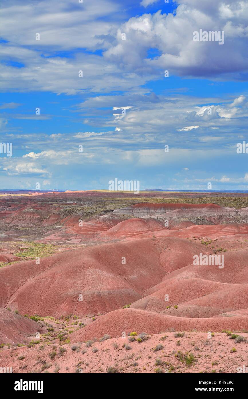 Art Painted Desert, Petrified Forest National Park, Arizona, USA Stockfoto