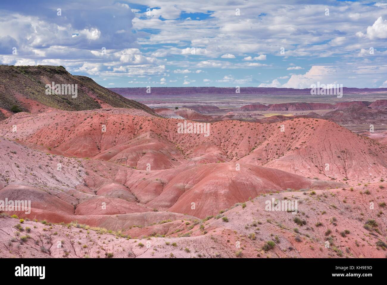 Art Painted Desert, Petrified Forest National Park, Arizona, USA Stockfoto