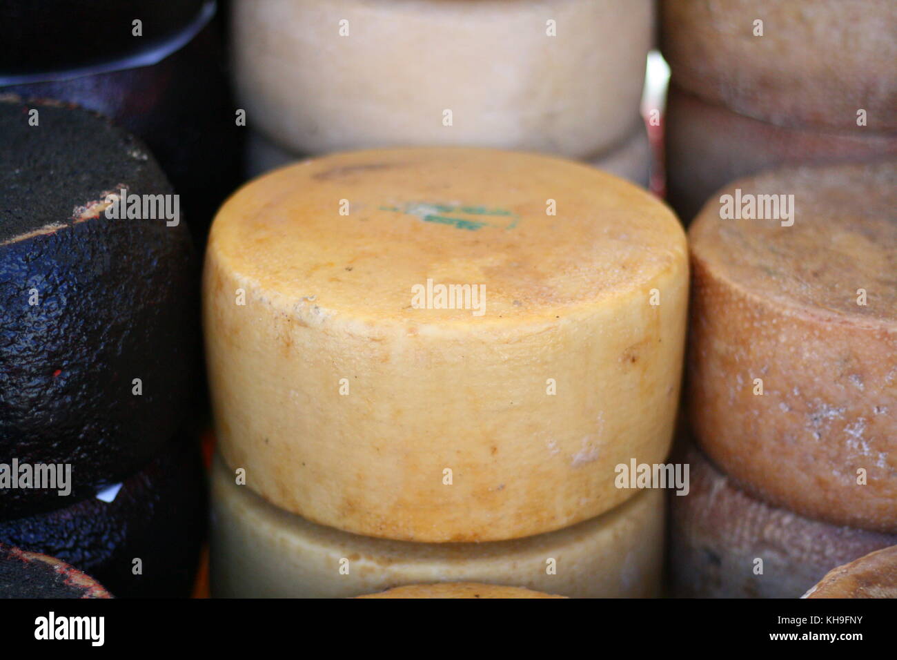 Ganze Käse der Sorte Pecorino Romano, der die Räder ist auf Verkauf am Markt mit frischen Lebensmitteln. Stockfoto