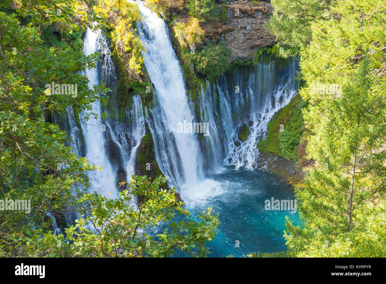 Landschaft Foto burney Wasserfall in der Nähe des Lake Shasta in Nordkalifornien. burney Falls ist die epische Wasser fallen, die ich je gesehen habe. Stockfoto