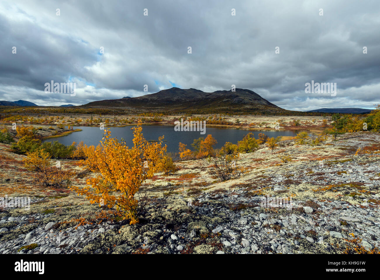 Landschaft im Rondane Naturschutzgebiet, Norwegen Stockfoto