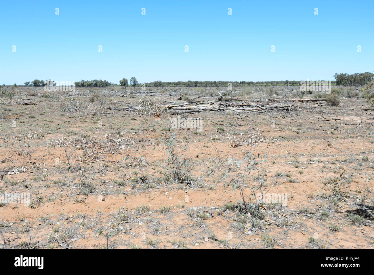 Gerodeten Flächen für die Landwirtschaft, die sich einer großen Dürre, South West Queensland, Queensland, Australien Stockfoto