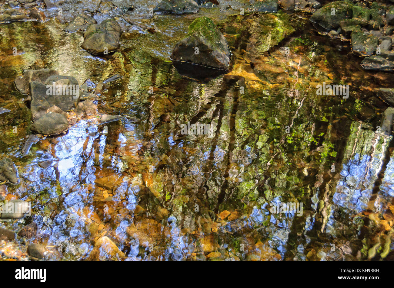 Reflexion in der Nelson River - West Coast Region, Tasmanien, Australien Stockfoto