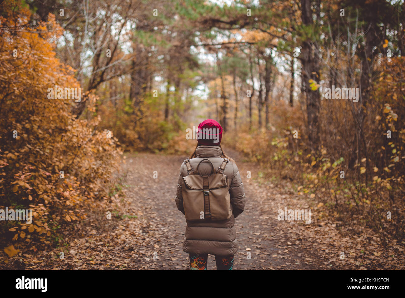 Junge Frau in Freizeitkleidung stehen im Herbst Wald. Stockfoto