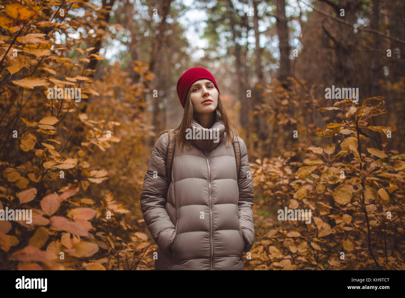 Junge Frau in Freizeitkleidung stehen im Herbst Wald. Stockfoto