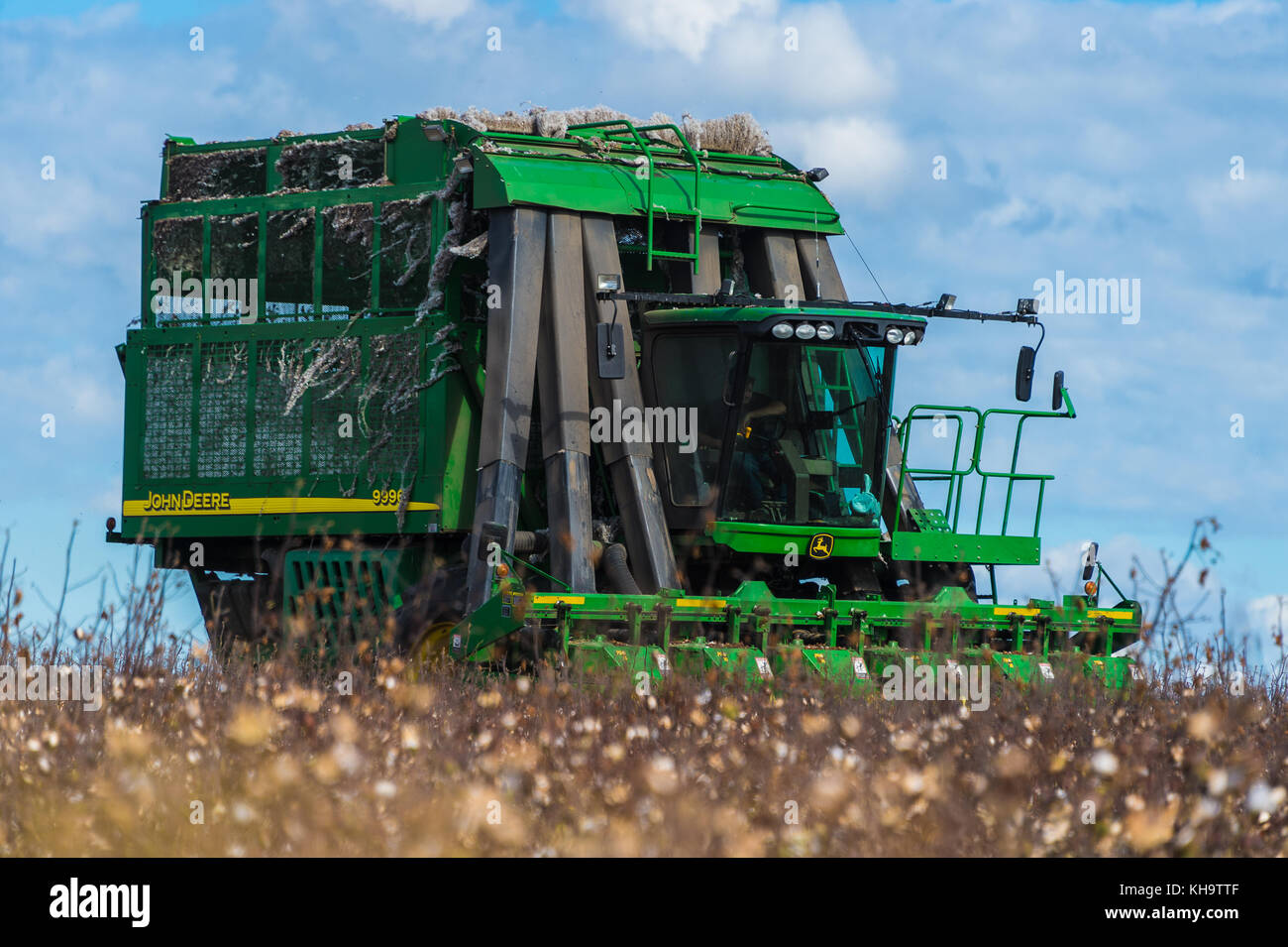 Skipper, Greensville County, Virginia, USA - 2. November 2017; 'Spindel Picker' Typ Baumwolle ernten, Ernten von Baumwolle Stockfoto