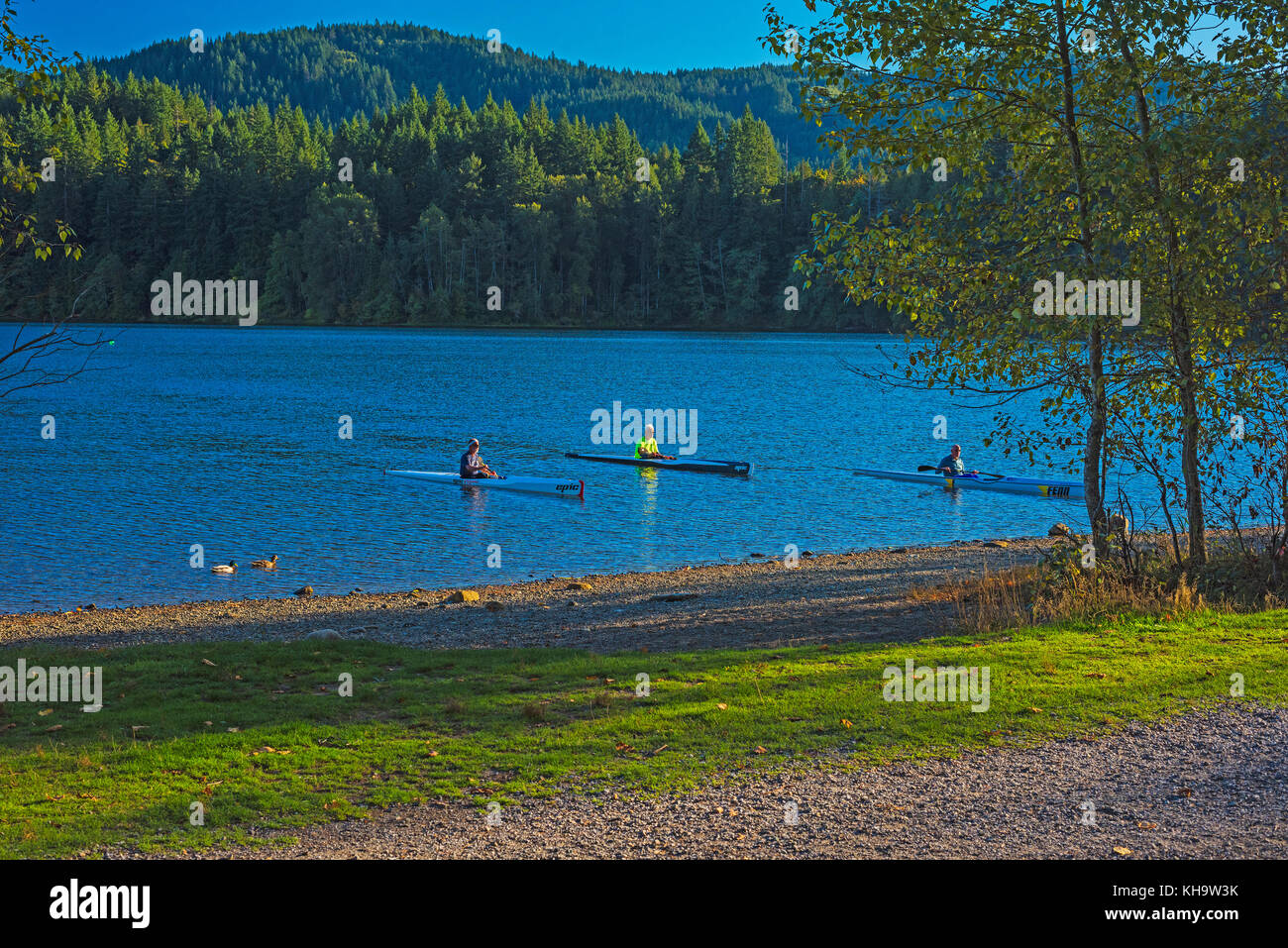 Foto Sonnenuntergang drei Kanus den See Paddington bellingham Washington reisen Reiseziele in der Landschaftsfotografie Stockfoto