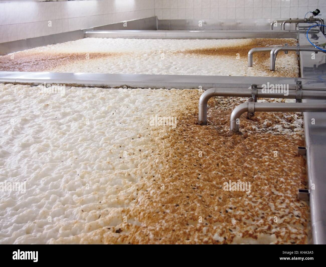 Vergärung von Bier in einem offenen Fermentern in einer Brauerei. Stockfoto