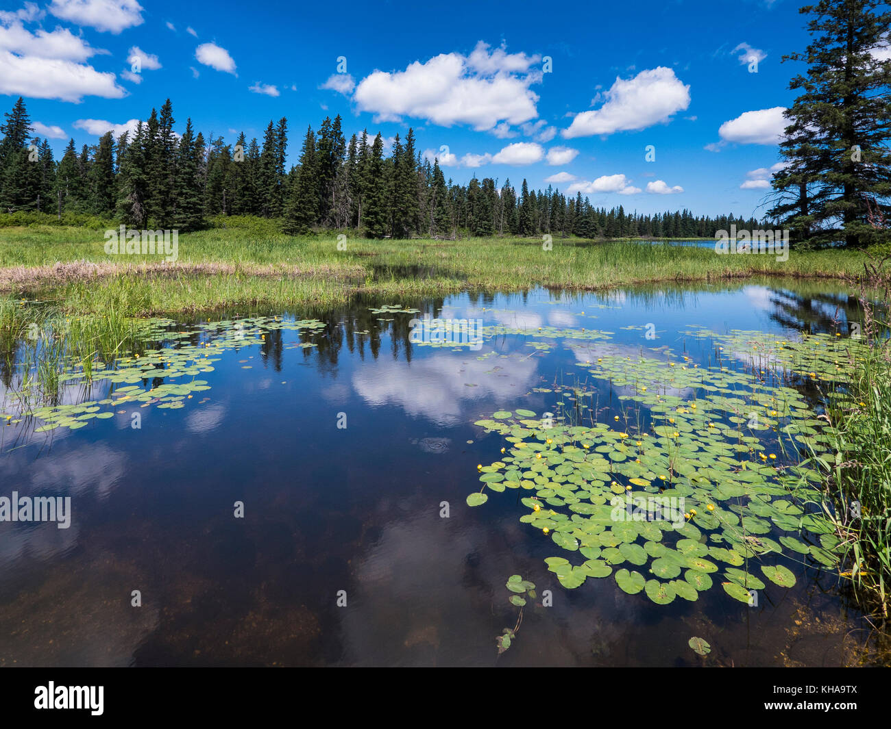 Das untere Ende der Whirlpool See, Riding Mountain National Park, Manitoba, Kanada. Stockfoto